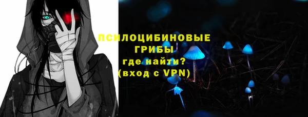 прущая мука Арсеньев