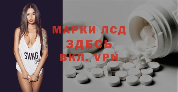 PSILOCYBIN Аркадак