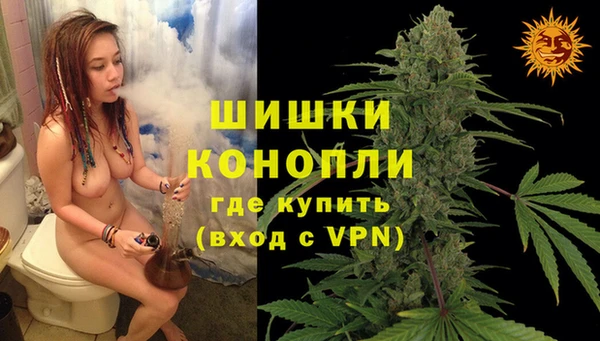PSILOCYBIN Аркадак