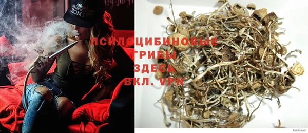 PSILOCYBIN Аркадак