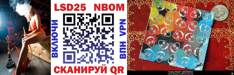 дарнет шоп  Сасово  Марки NBOMe 1,8мг 