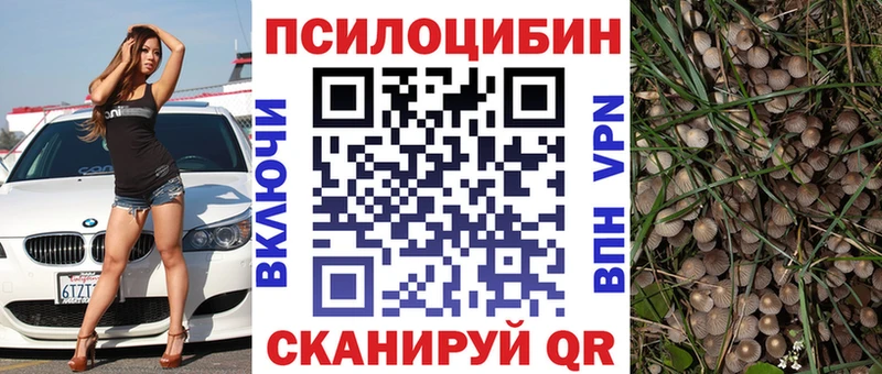 Галлюциногенные грибы Cubensis  Сасово 